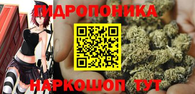 spice Дубна