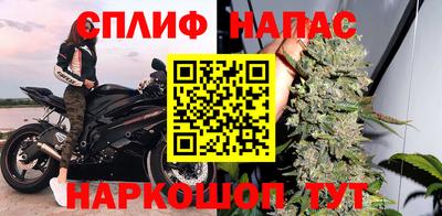 spice Дубна