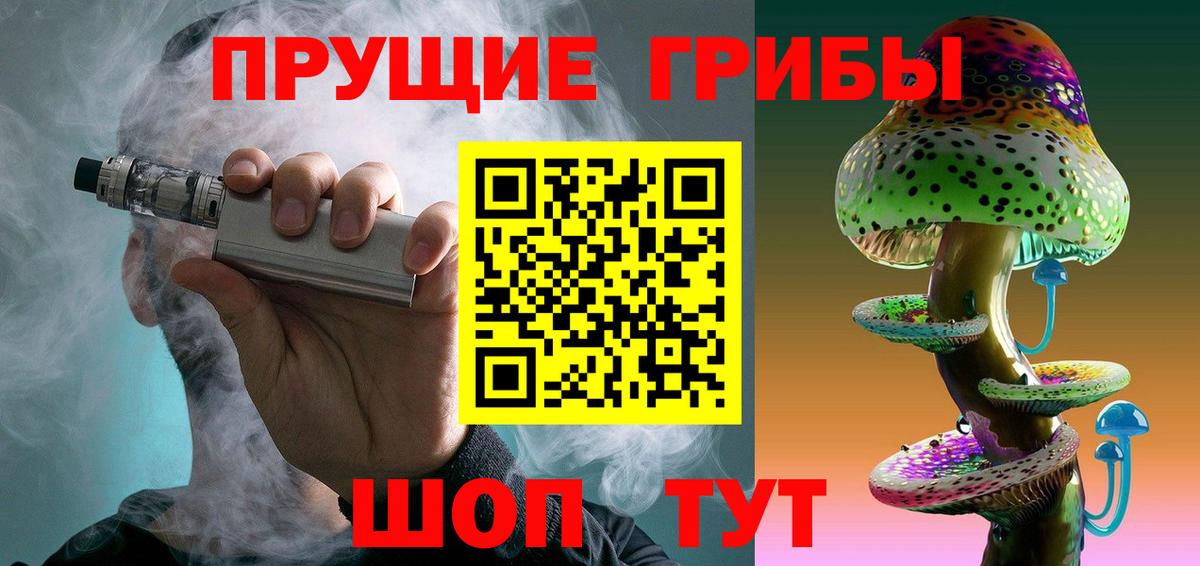 как найти закладки  Галлюциногенные грибы Psilocybe  Вход с VPN  Псилоцибиновые грибы мицелий  Гусев 